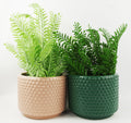 40cm Pair of Ceramic Planters with Artificial Ferns