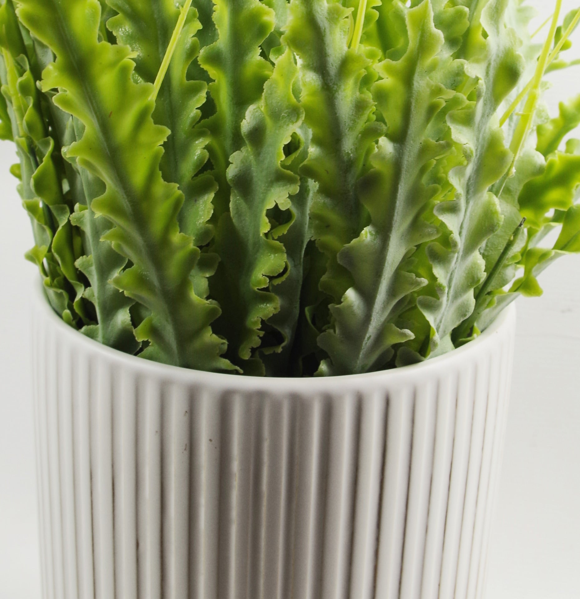 White Ribbed Ceramic Plant Pot with Bamboo Stand 14.5 x 14.5 x 19cm