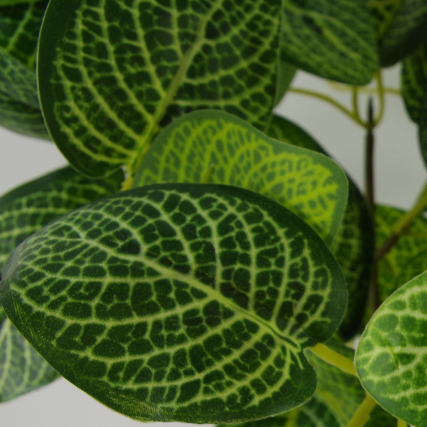 50cm Artificial Pothos Plant With Ceramic Planter And Stand