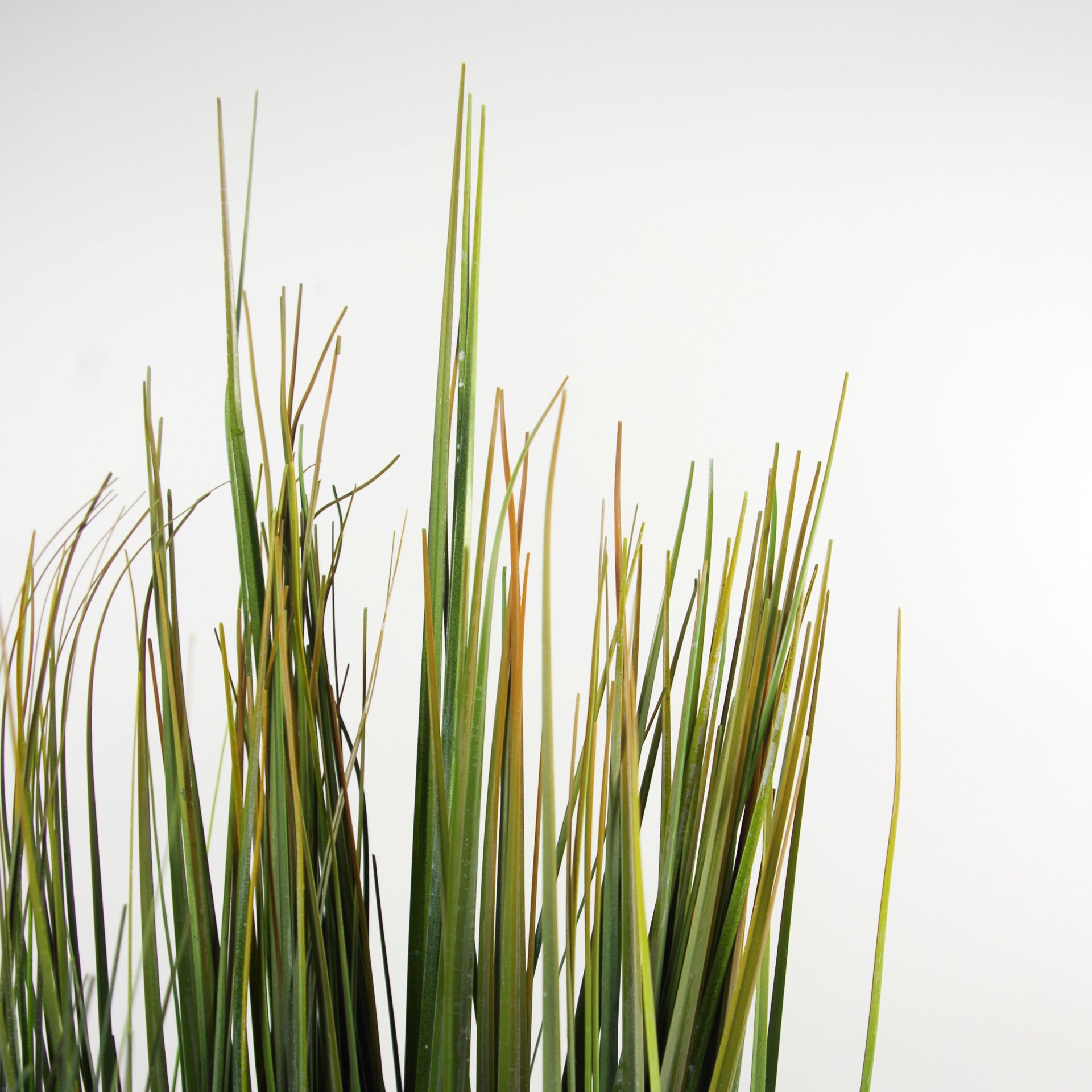 60cm Artificial Potted Grass Plant