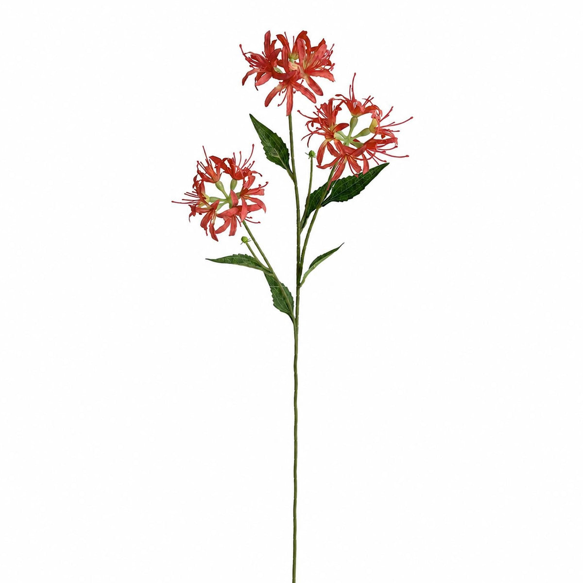 Pack of 6 x 72cm Artificial Coral Spider Lily Stems