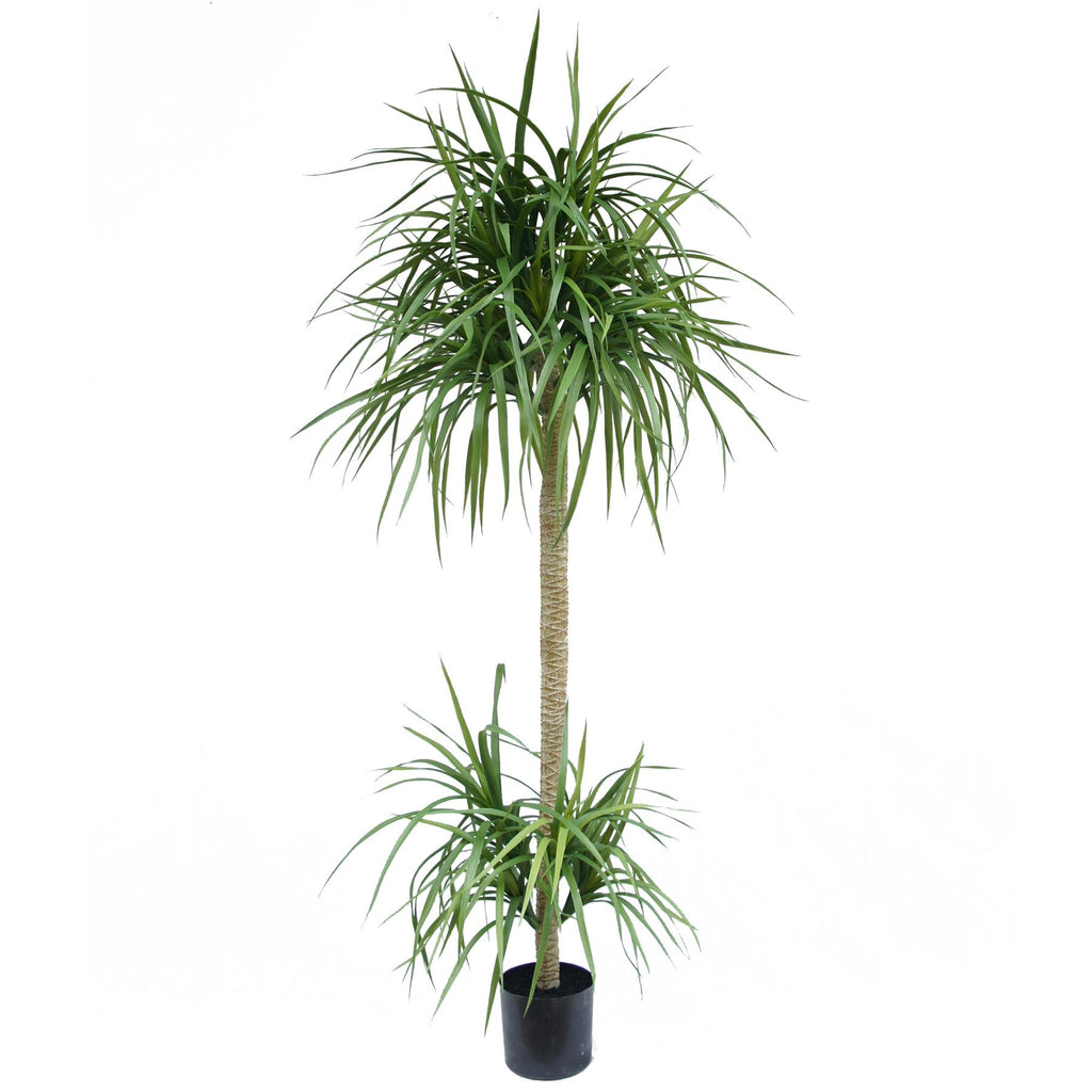 180cm Dracaena Realistic Artificial Tree