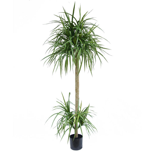 180cm Dracaena Realistic Artificial Tree