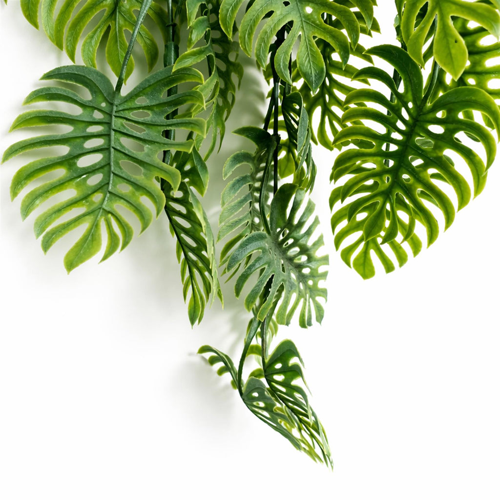 80cm Trailing Tropical Monstera Plant - Sage Green