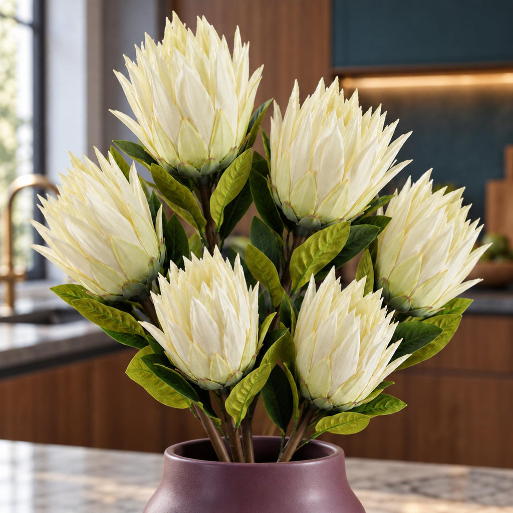 Pack of 6 x 65cm Protea Sugarbush Flower Stem - White styled in a room