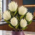 Pack of 6 x 65cm Protea Sugarbush Flower Stem - White styled in a room