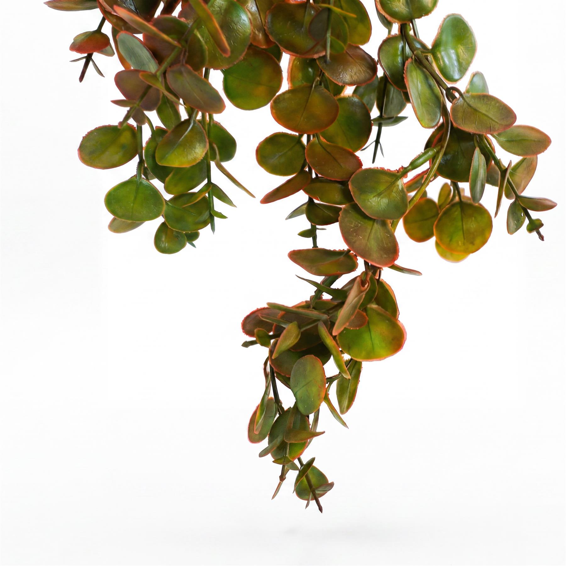 75cm Artificial Trailing Round Leaf Hanging Foliage Plant - Autumn Green & Bronze
