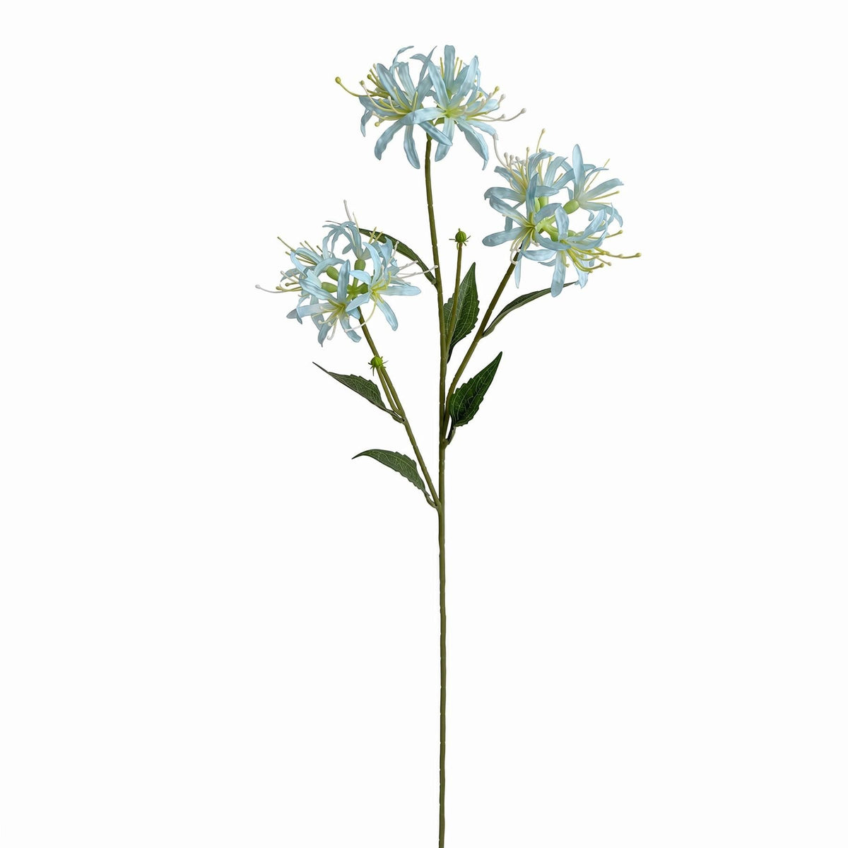 Pack of 6 x 72cm Artificial Light Blue Spider Lily Stems