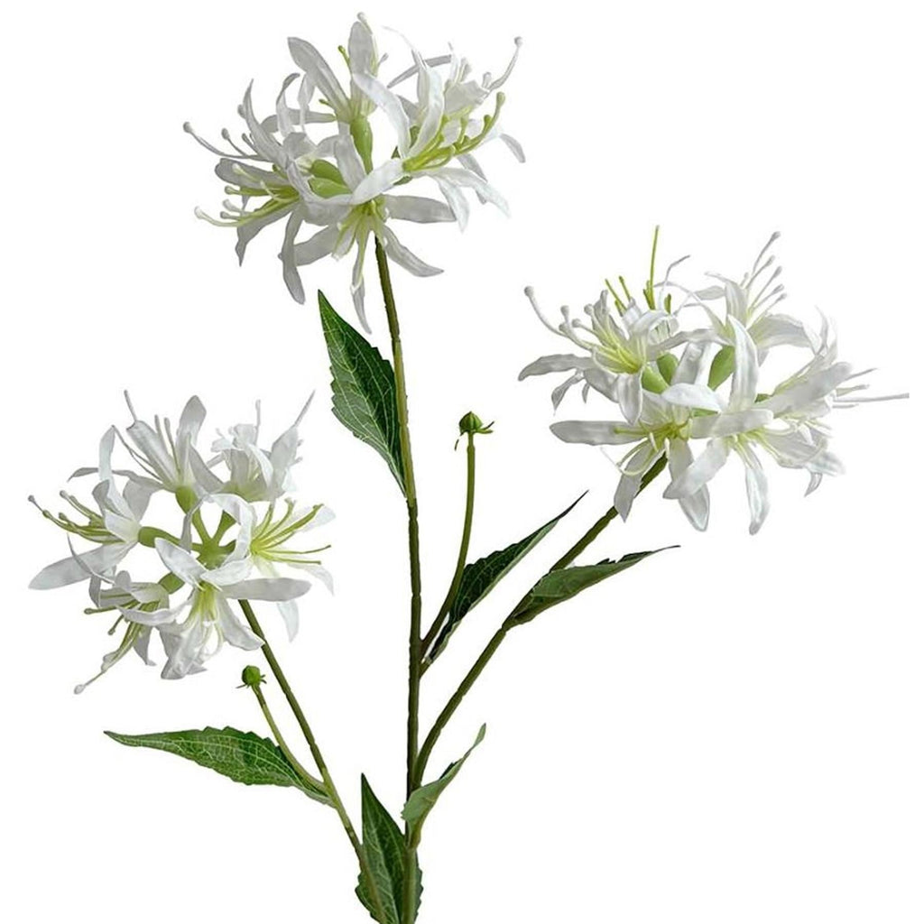 Pack of 6 x 72cm Artificial White Spider Lily Stems