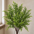 6 x 50cm Southern Wood Fern Bush Dark Green Plant styled in a room