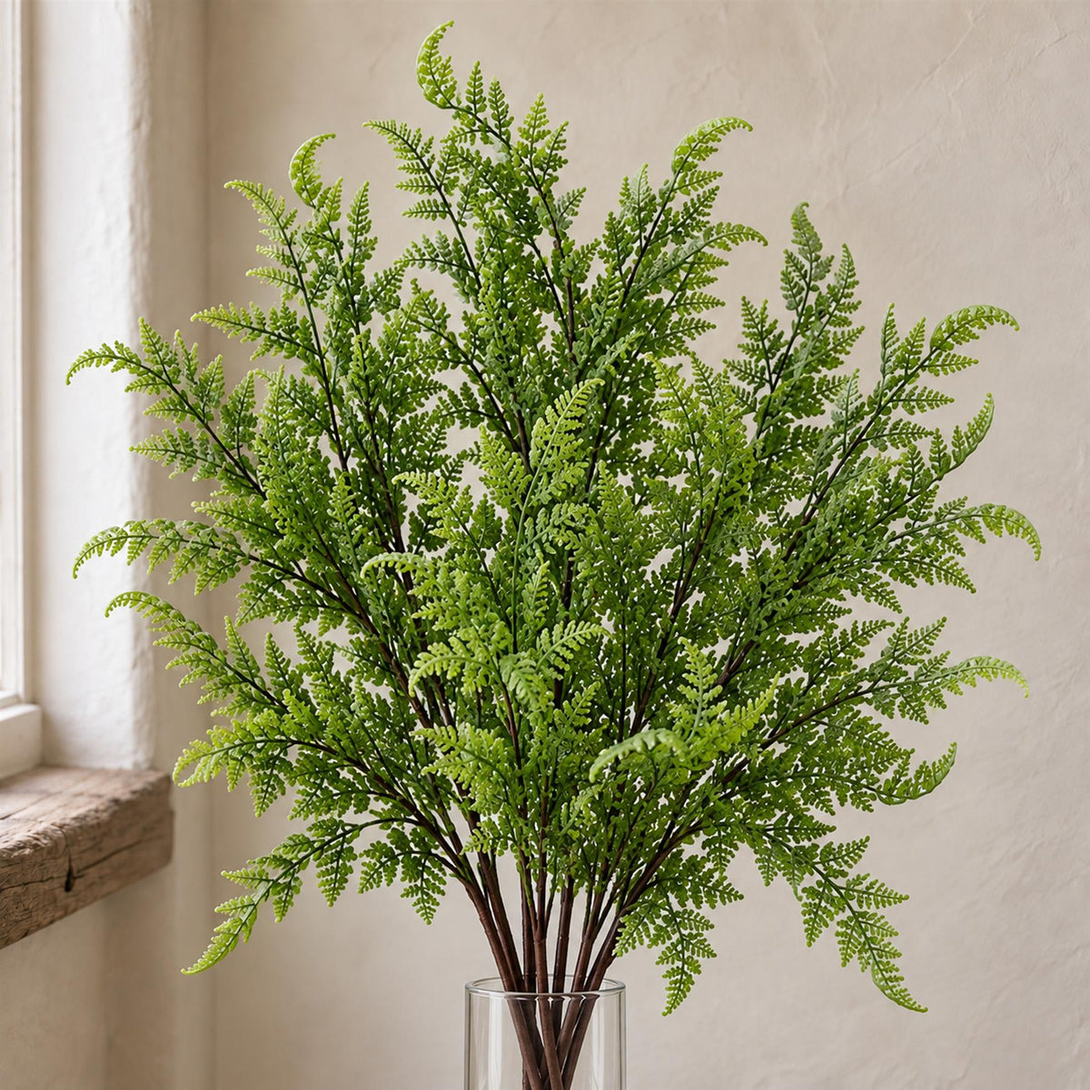 6 x 50cm Southern Wood Fern Bush Dark Green Plant styled in a room