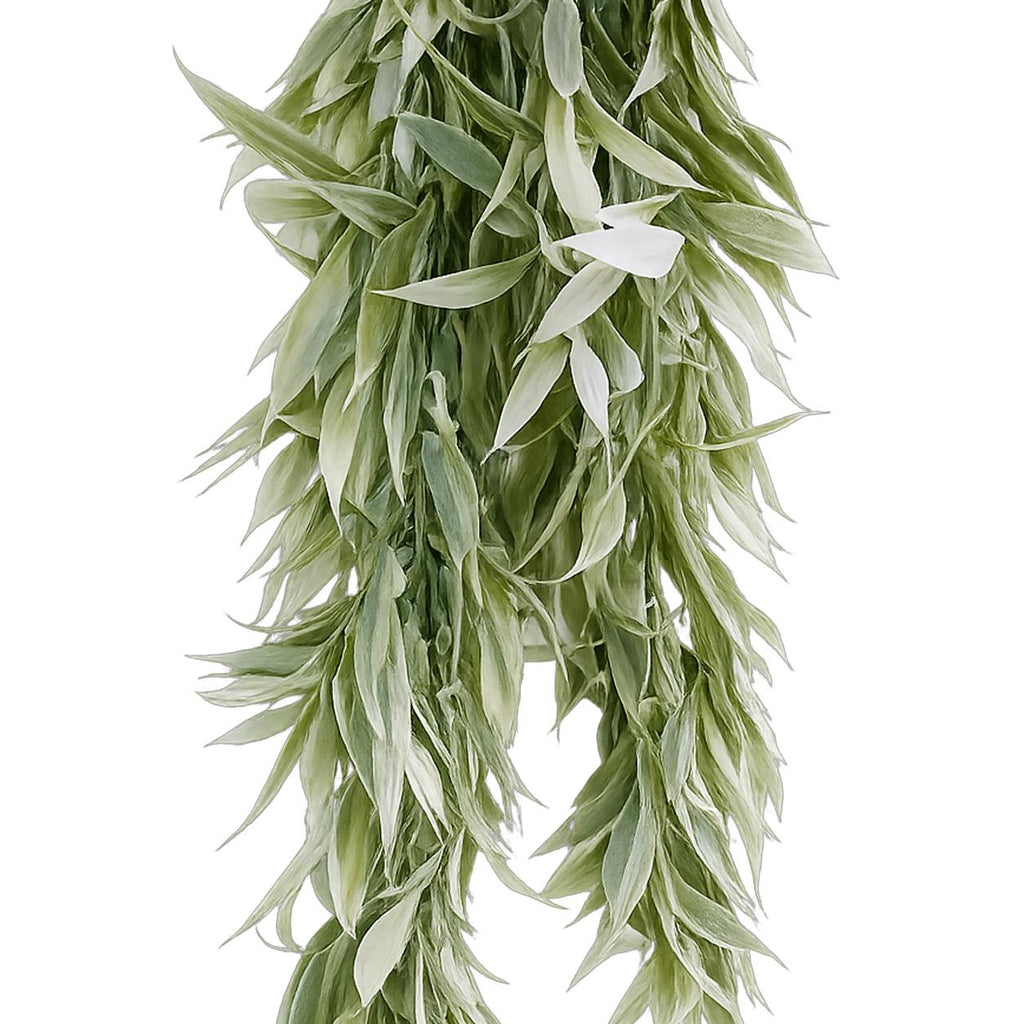 80cm Italian Ruscus Hanging Plant with Realistic Foliage - Light Green