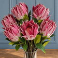 Pack of 6 x 65cm Protea Sugarbush Flower Stem - Pink styled in a room