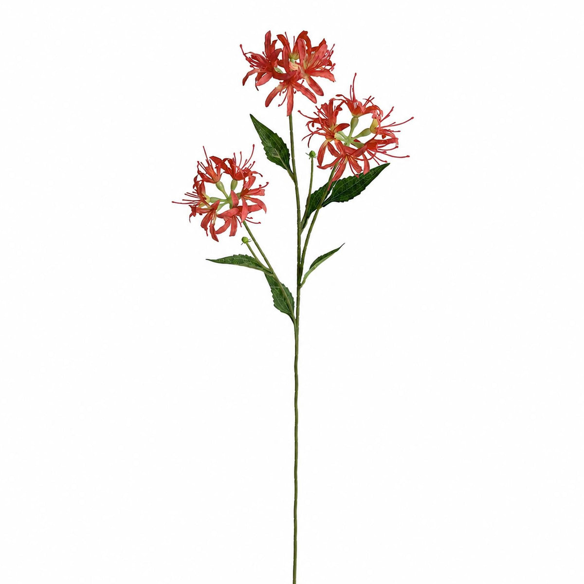 72cm Artificial Coral Spider Lily Stem