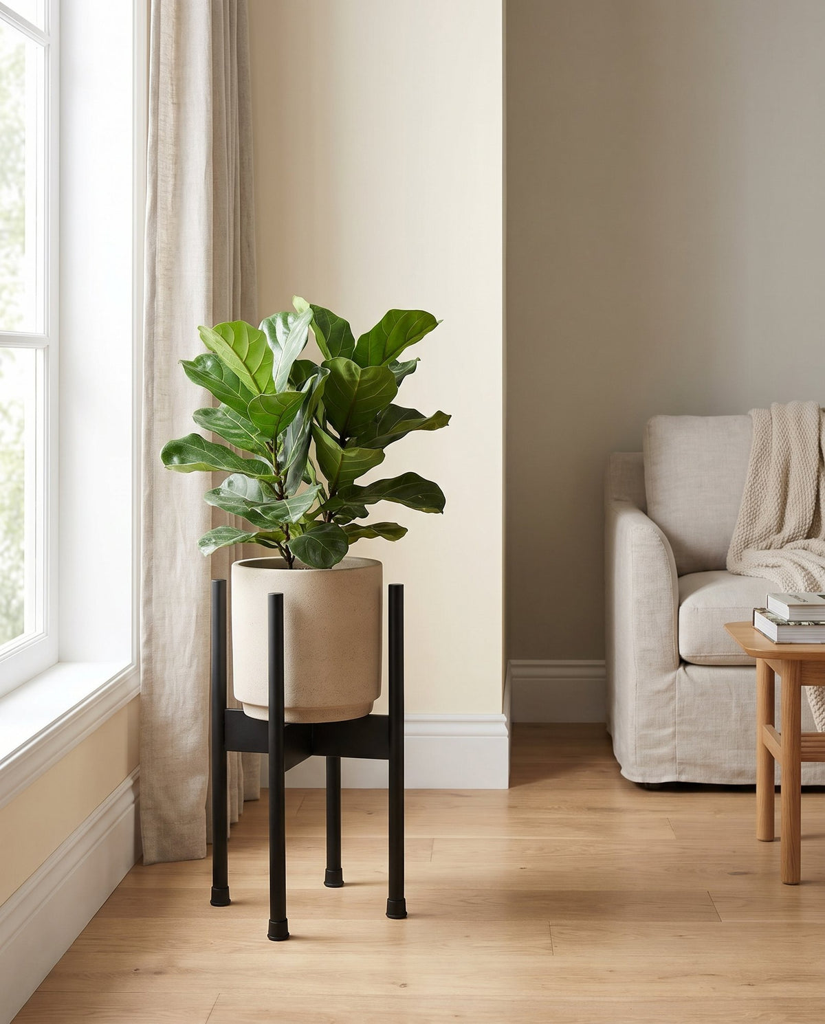 Medium Black Planter Stand (Planter not included) 38.5cm x 18cm styled in a room