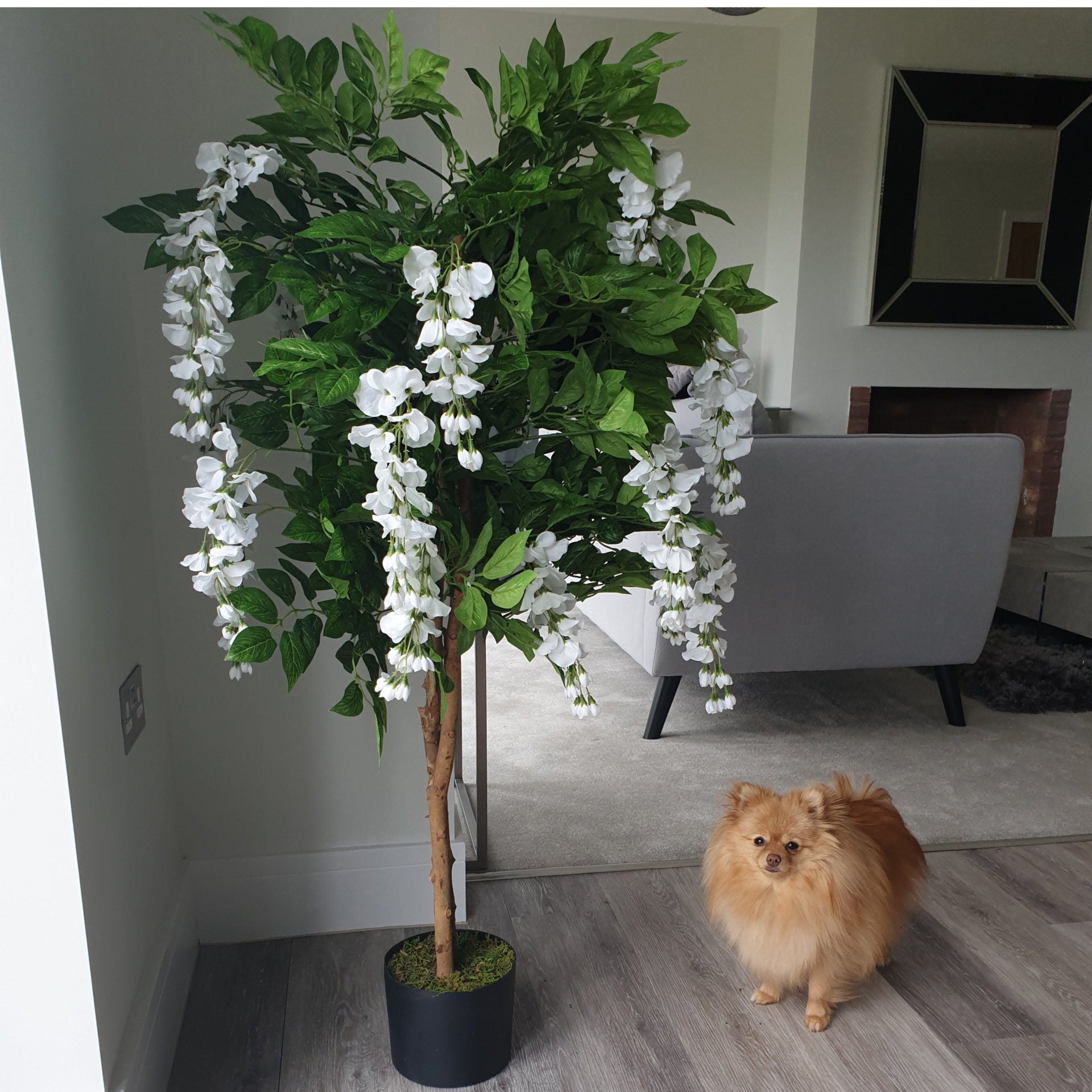 130cm Luxury Artificial Wisteria Tree White Flowers - Premium Range Silver Metal Planter